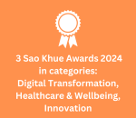 Sao Khue Award 2024