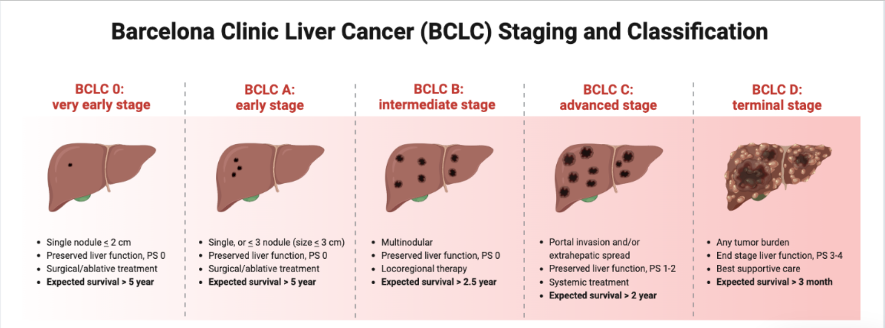 classification of liver cancer with AI