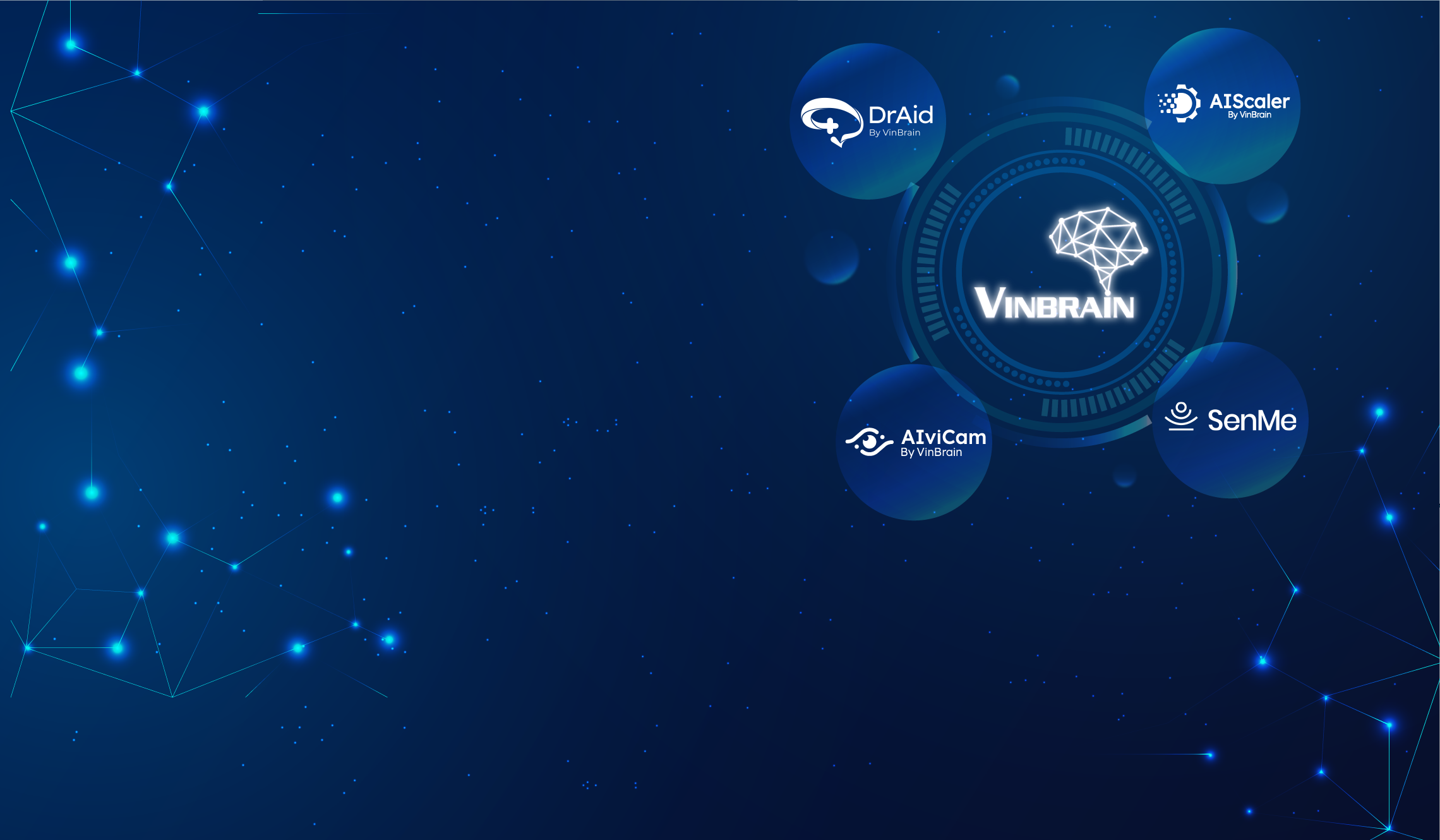 VinBrain offers comprehensive AI and data platforms